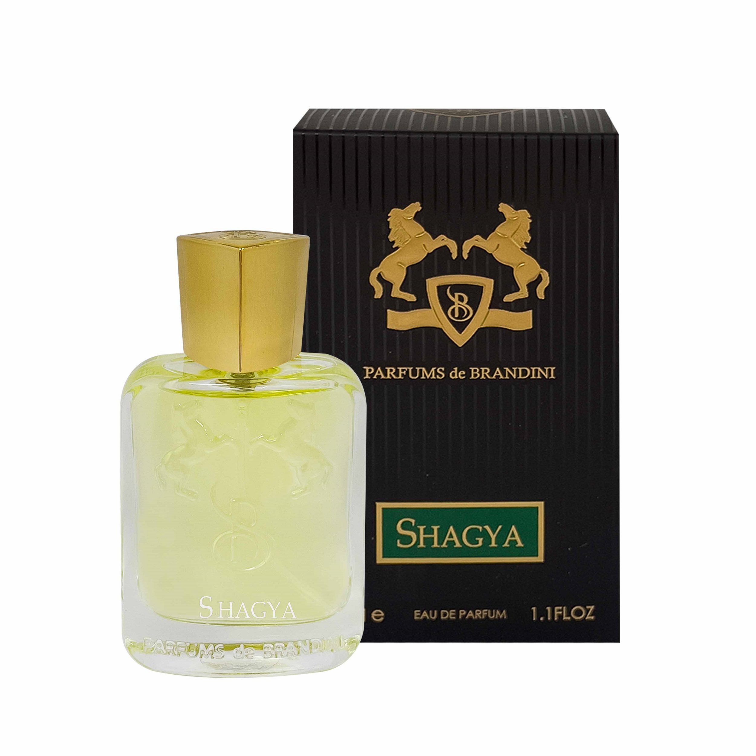 عطر جیبی مردانه برندینی مدل Shagya حجم 33 میلی لیتر عطر جیبی مردانه برندینی مدل Shagya حجم 33 میلی لیتر