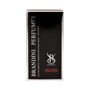 عطر جیبی مردانه برندینی مدل Silver حجم 25 میلی لیتر