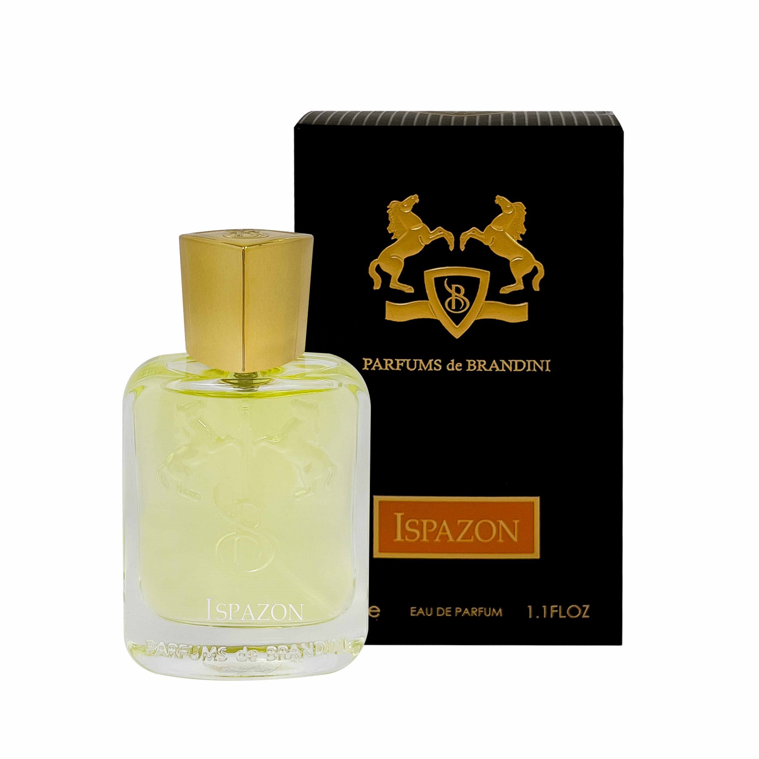 عطر جیبی مردانه برندینی مدل Ispazon حجم 33 میلی لیتر عطر جیبی مردانه برندینی مدل Ispazon حجم 33 میلی لیتر